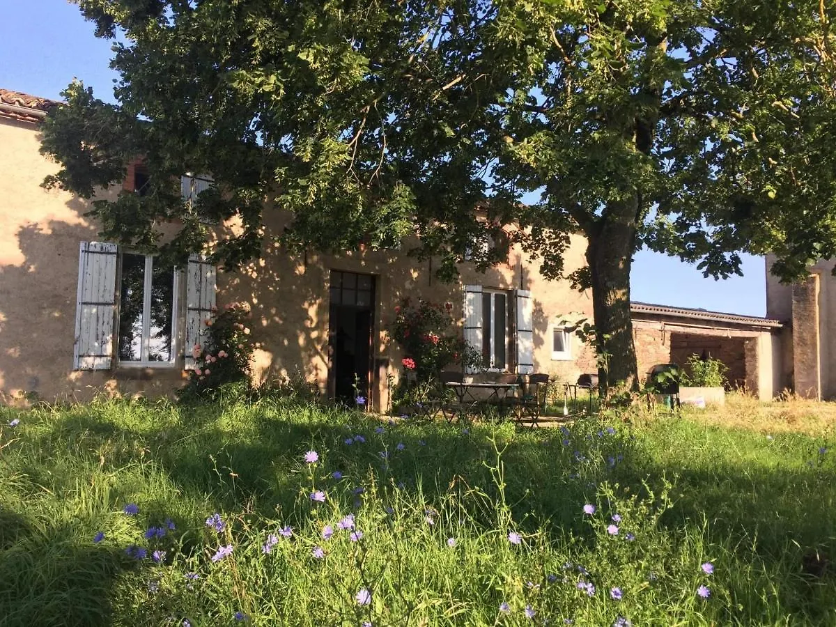 Chambres D'Hotes Les Pieds Dans L'Herbe Saint-Julien-Gaulene